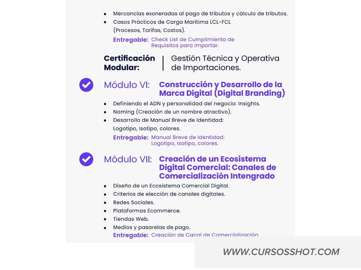 ADEX curso de importacion de china y marketing digital 3x1 - Imagen 3